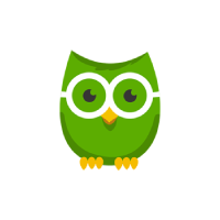 birthdayowl