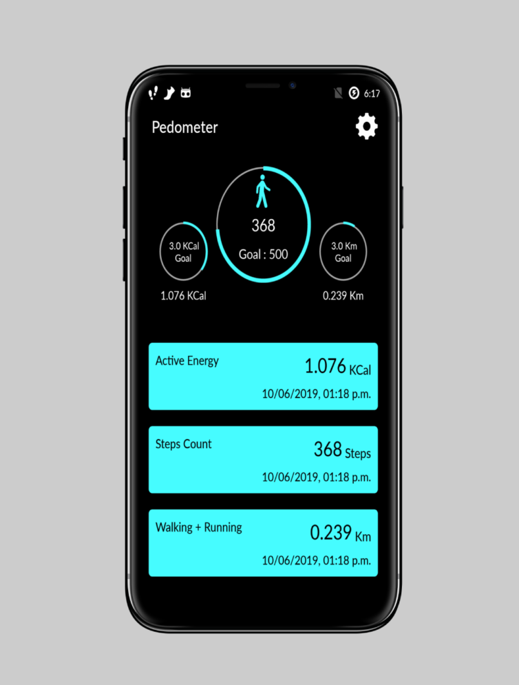 Pedometer